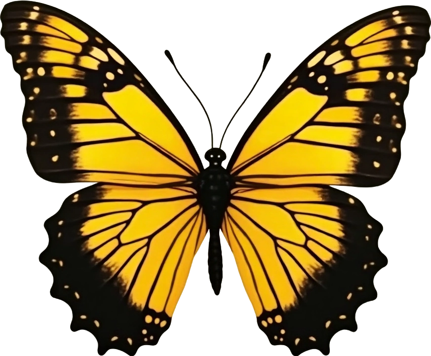 Monarch Butterfly